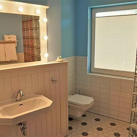 Themenhotel 50's شيمنيتز